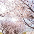 반월놀이공원 이미지