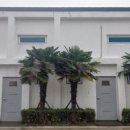 위시풀빌라 | [경남 거제] 오션뷰 펜션 침대에서 일출을 <스타마린풀빌라>