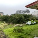 소롱코지 이미지