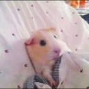 원 당구장 이미지