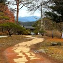 세주묘엄박물관 | 서울 근교 드라이브 설연휴 부모님과 가볼만한 곳 가족나들이 대형 사찰 3곳