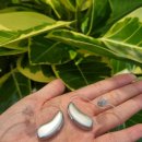 오티콘보청기 분당점 이미지