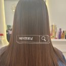 뉴신세계미용실 - 수성구 | 뉴신세계미용실