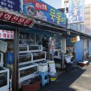 포항싱싱 이미지