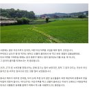 얼음동동~ 고소한 국산 미숫가루 판매해요. 이미지