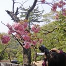 호인목장 이미지