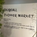 우보인테리어 | 강남역 신논현역 꽃집 24시간 운영 우보 플라워 마켓 주차