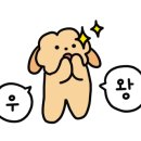 비블루