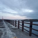 제주도 게스트하우스파티 빅썸 이미지