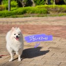 위브동물의료센터 이미지