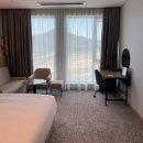 도청사우나 | 안동 경북도청 스탠포드호텔 슈페리어 더블 후기