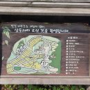 상두리마을 이미지