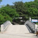 울대2리 Daum카페