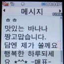 이안숲속야영장 이미지