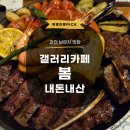 과천 브런치 맛집 갤러리카페 봄 내돈내산 후기