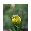 은나와라 뚝딱 이미지