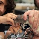 winning dog story's 이미지