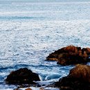 ♤간추린 아침뉴스♤ 이미지