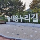 솔내음 이미지