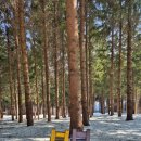 대신목장 이미지