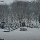 삼가정