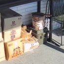 팡팡태양광 | 전기·인터넷 없이 CCTV 설치 가능? 태양광 v380 CCTV 후기