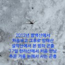 2024년 1월 17일 제3차 한라산을 다녀와서 이미지