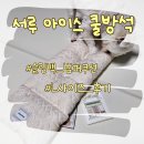 성실세탁 | 서루 슬링백 아이스 쿨 쿠션 범퍼쿠션 여름방석 강아지방석 L 내돈내산 후기