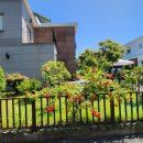 통영햇살약국 | 거제 자연속힐링[리틀포레스트2호점]