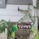 강원도 하이원 추추파크 정글대탐험!!예약,운영시간,솔직후기