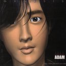 아담 이미지