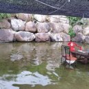 백운동계곡펜션 이미지