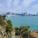 용호별빛공원 이미지