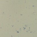 이지 동물병원 이미지