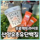 신세계백화점 본점 팝업 프로젝트라이프 락토페린 산양유단백질 스틱 심플해