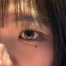 T.B.C. | [픽싱렌즈/축고정렌즈/ 마이피픈 비브 차콜 그레이] 셀카 잘 나오는 개존예렌즈 실착 솔직후기 착용샷