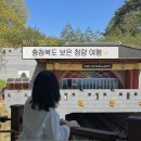 황금들애도포농촌체험휴양마을 | 여름 국내여행 충청북도 보은 가볼만한 곳