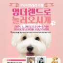 멍더랜드 이미지