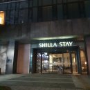 스테이 캄캄 이미지