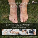 레푸스 춘천후평점
