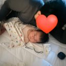 다오니 팬피자 산수점 | 일상: 생후8주차/ 초간단 50일 셀프촬영🎈내돈내산 후기 소품 추천🌀👶🏻/분당차병원 산후검진/ 임당 이후...