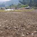 뉴해안풍경 이미지