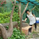 옥현농장 이미지