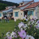 노닐다민박 이미지