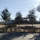 한빛민박 이미지