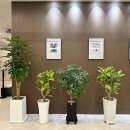 스카이짐 GDR골프아카데미 헬스 | 서울용산구골프연습장,스카이짐GDR골프아카데미&amp;헬스,가격위치정보