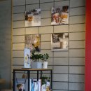 요거프레소 봉곡테마공원점 이미지