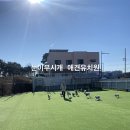 눈이부시개 이미지