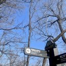 봉산화장실 이미지