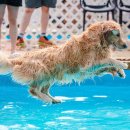 아임버디 이미지